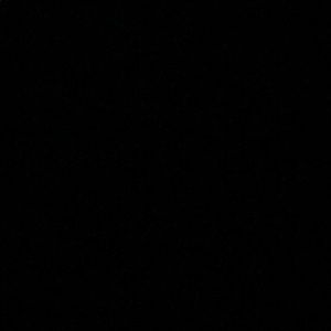 Meet your Posher, Sophie